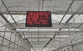 智慧大棚數(shù)據(jù)顯示屏