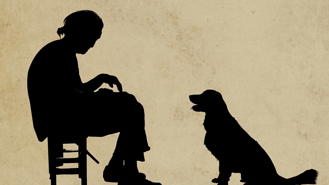 “空巢”不“空心”，超1億空巢老人如何老有頤養(yǎng)、老有所樂？