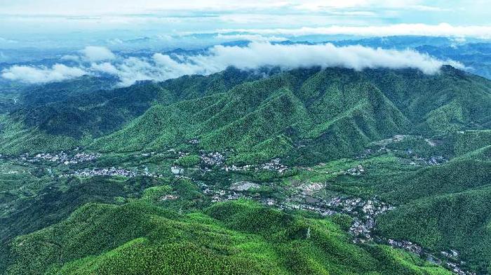 海外網評：學習運用“千萬工程”經驗，有力有效推進鄉村全面振興